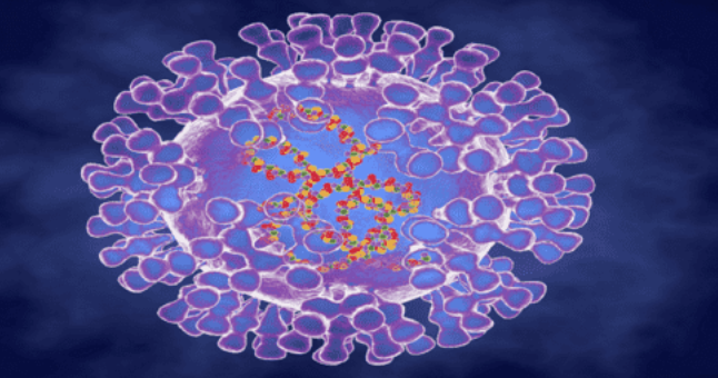 السعودية: لم نسجل أي إصابة بجدري القردة