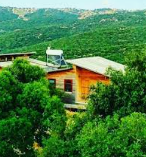 إطلاق غابة المنتدى العالمي للأرض بالعارضة