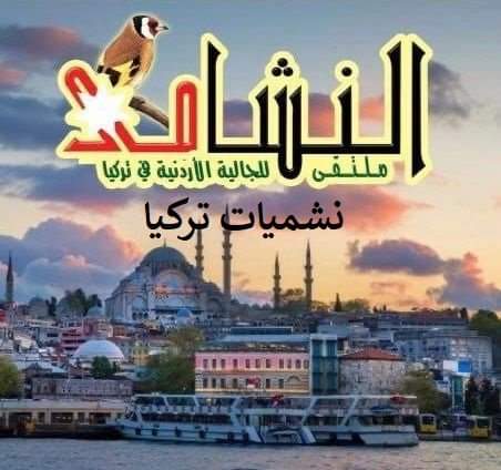 المومني رئيساً لنشميات تركيا