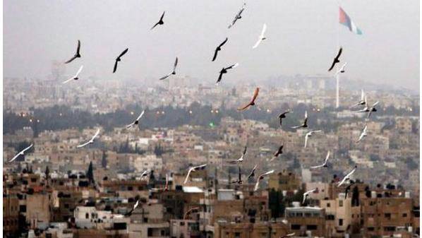 الاحد .. أجواء حارة وجافة نهارا ومعتدلة ليلا