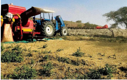 7 دول عربية على جرف أزمة غذائية