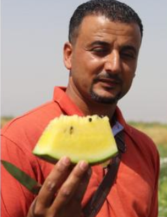 اربد: افتتاح موسم البطيخ الأصفر تحت شعاراقطع ونقي بايدك