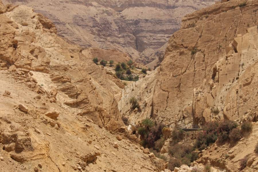 منطقة باب الذراع حكاية  الارض والانسان  عبر العصور التاريخية