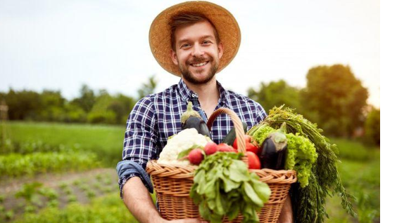 فرص عمل للأردنيين في القطاع الزراعي  التفاصيل