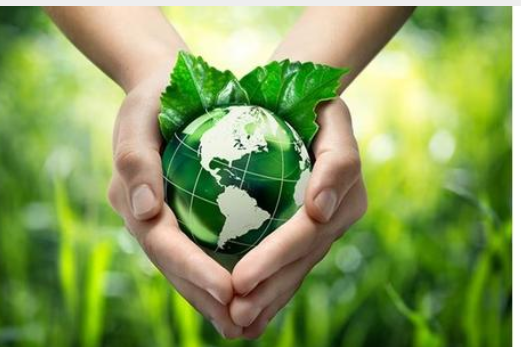 بمناسبة يوم البيئة العالمي .. فعاليات عجلون تنفذ برامج توعوية للتأكيد على أهمية البيئة