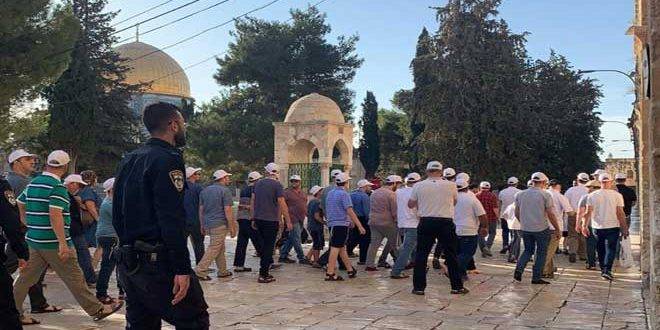 مستوطنون يجددون اقتحام المسجد الأقصى