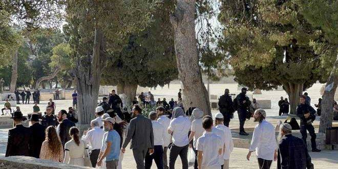 إصابة فلسطينيين خلال اقتحام مستوطنين المسجد الأقصى