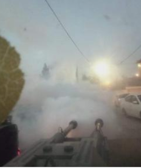 استمرار حملة مكافحة الحشرات والذباب وخطة مجدولة لمسح أحياء معان