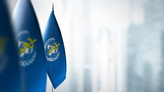 نظريات المؤامرة تخيم على جهود منظمة الصحة للتوصل إلى اتفاقية لمكافحة الأوبئة