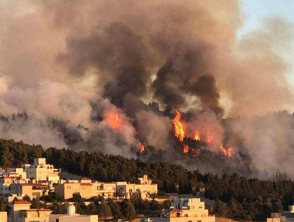 الأمن يكشف سبب حريق الكمالية .. ويضبط المتسبب