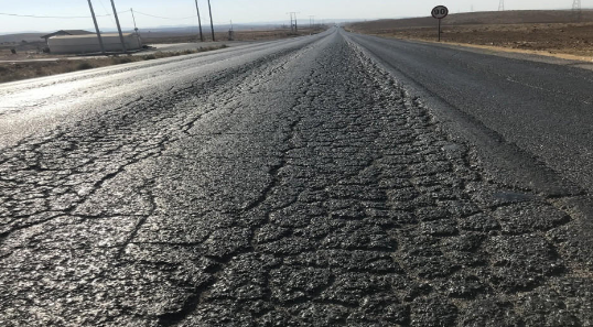 الخلايلة: لا يوجد بنية تحتية مؤهلة للنقل العام بالأردن