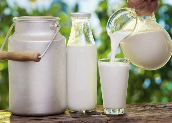 وزير الزراعة يضع رفع أسعار الحليب بين يدي الصناعة والتجارة