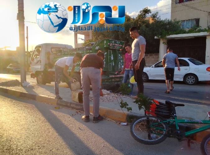 مبادرة شباب قرية حور تستكمل زراعة الأشجار على الجزيرة الوسطية ..صور