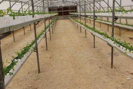 موافقة لاستغلال محطة التوانة في الطفيلة لتأهيل وتدريب المهندسين الزراعيين