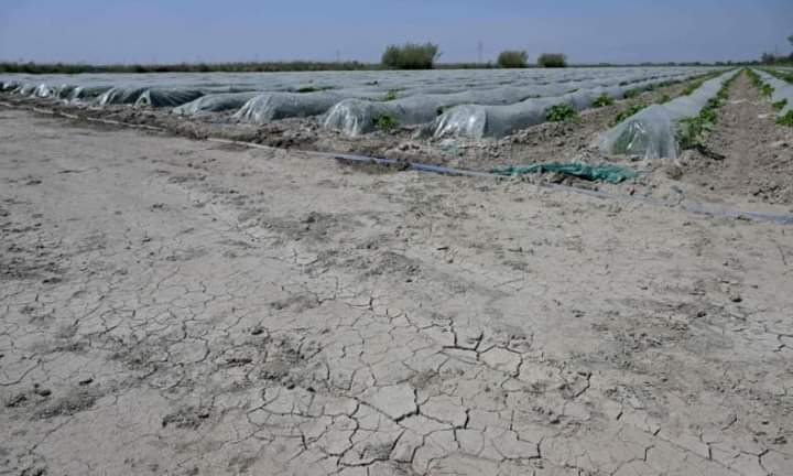 بسبب هواء “مغاربي” ساخن.. فرنسا تستعد لموجة حر استثنائية