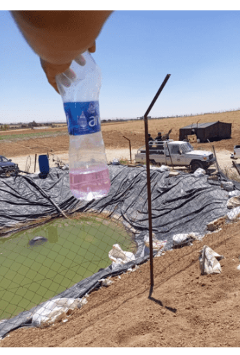 المياه: ضبط اعتداء يزود مزارع وبرك في مأدبا