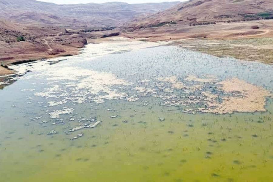 شُحْ مياه «الموجب».. خطر يُهدد الرقعة الزراعية في محيطه