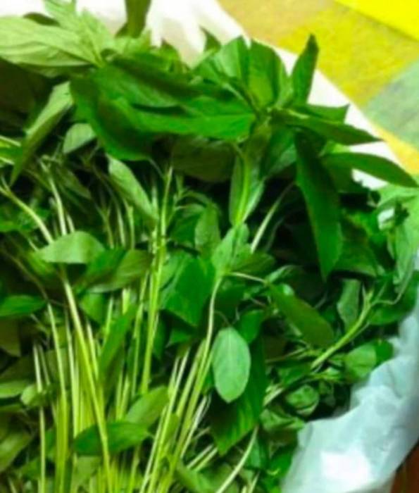 ماذا يحدث للجسم عند تناول الملوخية ...للقلب وضغط الدم والجهاز الهضمي