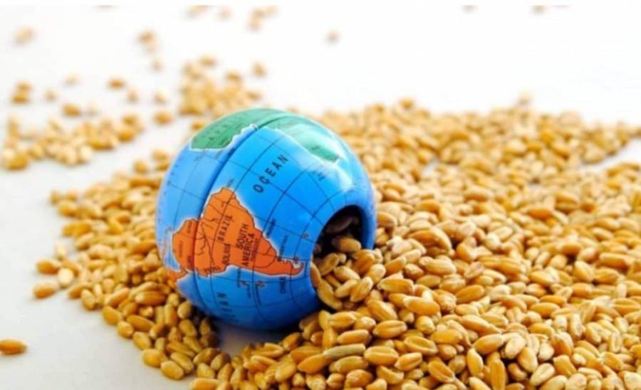 رؤية التحديث الاقتصادي تقترح تأسيس جهة متخصصة بالأمن الغذائي