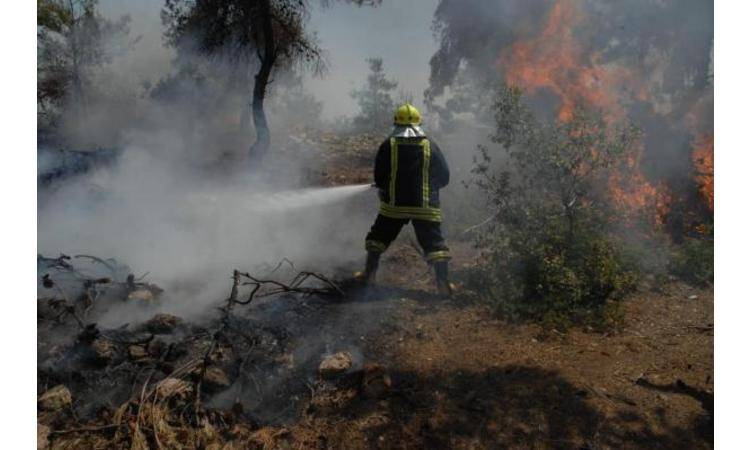 مديرية الدفاع المدني تتعامل مع  1267 حالة إسعافية خلال ال24 ساعة الماضية
