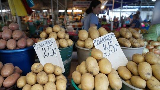 شركة مصرية مختصة في تصدير البطاطس تكشف حال الصادرات إلى روسيا بعد العقوبات الغربية