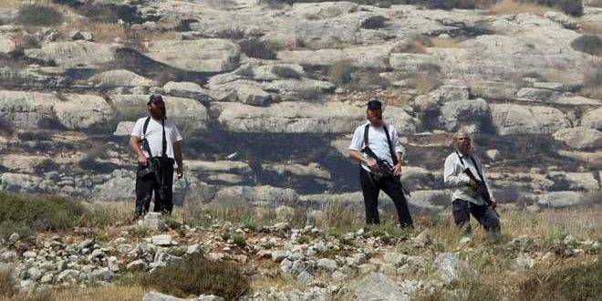 مستوطنون يعتدون على الفلسطينيين في القدس المحتلة