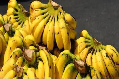 مزارعون يحتجون على استيراد الموز.. والزراعة تعلق