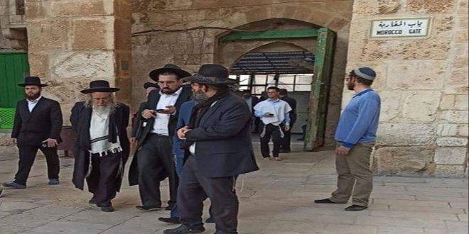 61 مستوطناً يجددون اقتحام الأقصى