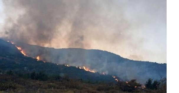 إخماد حريق في ريف حماة وسط سوريا