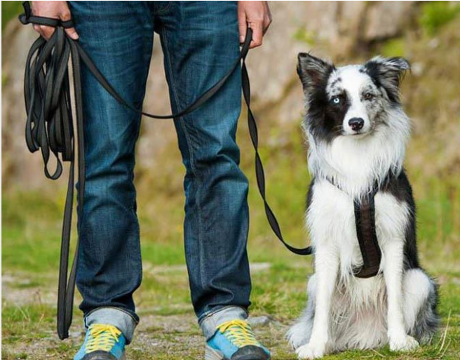 أسلوب جديد للسرقة في عمان ينتهي بشكل غير متوقع