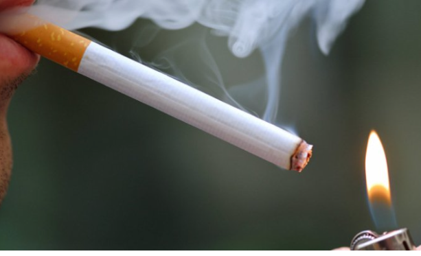 “الضريبة”: سنكتمل من تطبيق الرقابة الإلكترونية على الدخان هذا العام