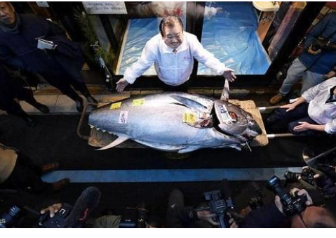 تناول سمك التونة يحميك من الأمراض