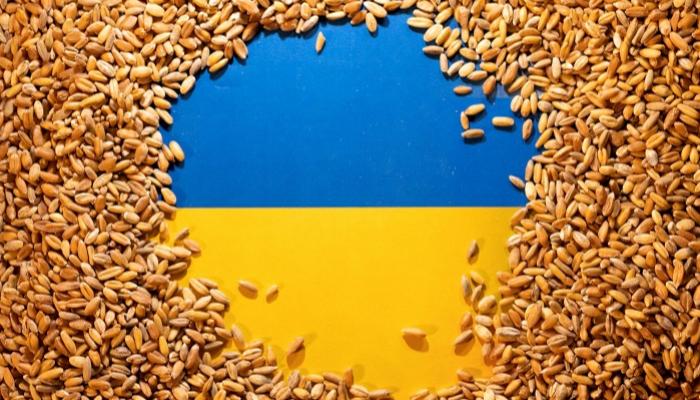 أوكرانيا تدعو بعدم شراء القمح المسروق