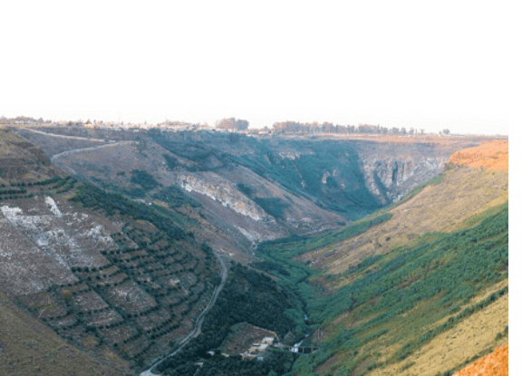 اعلام سوري: الأردن يحرق الطرف المقابل لوادي اليرموك