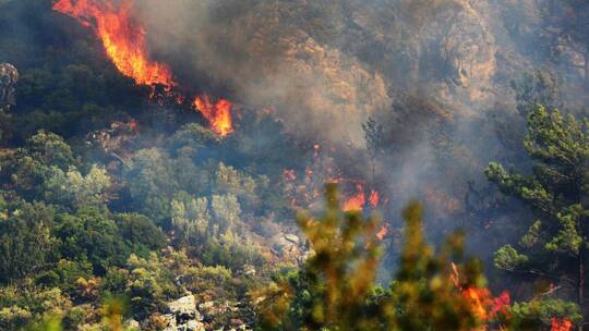 تركيا.. البدء في صياغة مشروع قانون بعد إعلان أردوغان عن الحاجة إلى عقوبة الإعدام