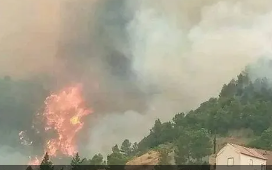 الرياح والحرارة فاقمتها.. حرائق قاتلة شرقي الجزائر