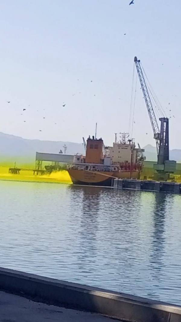 الخصاونة يشكل لجنة تحقيق بحادثة سقوط وانفجار صهريج الغاز في العقبة