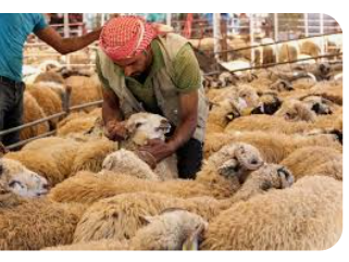 الأحد 10 تموز.. عيد الأضحى بعدة دول  أسماء