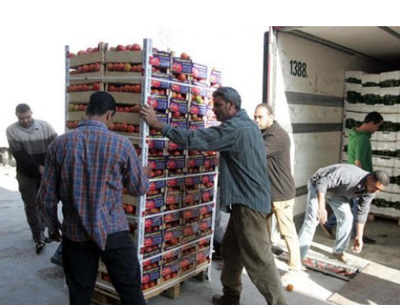 مصدرو الخضار يحذرون من فقدان الاسواق الخارجية