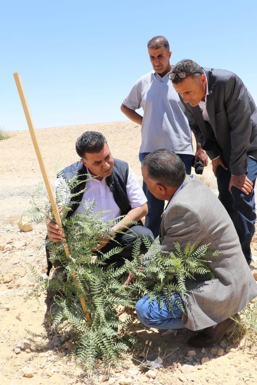 الحنيفات يتفقد مشاريع التحريج في الكرك