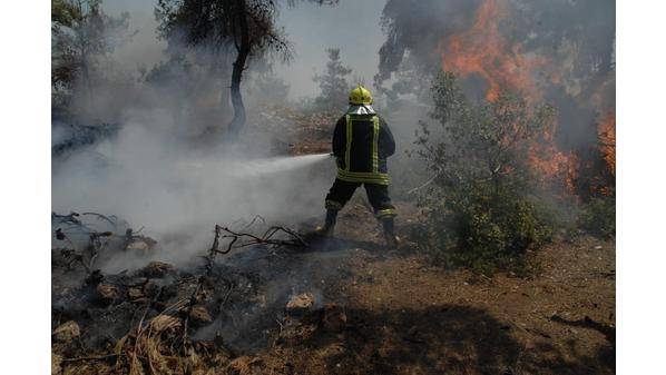 إخماد 58 حريق أعشاب جافة خلال 24 ساعة