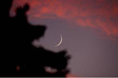 دبي تعلن إجازة عيد الأضحى