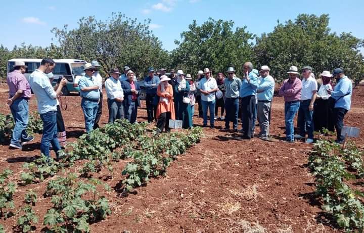 البحوث الزراعية ينفذ ورشة عمل في اربد حول استخدامات السماد العضوي