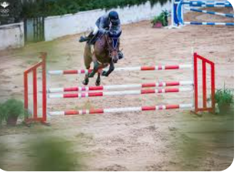 إعلان نتائج منافسات بطولة الأردن للفروسية للقفز عن الحواجز