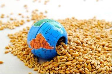 منظمات دولية تدق ناقوس خطر الأمن الغذائي العالمي