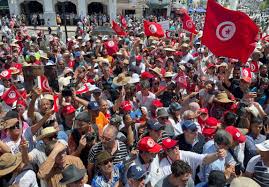 تونس: بدء الحملة للاستفتاء على الدستور الجديد