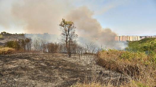 إيطاليا تعلن حالة الطوارئ في 5 مناطق جرّاء الجفاف