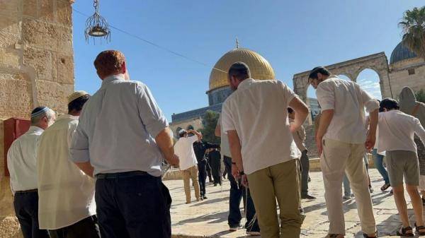 مستوطنون يقتحمون الأقصى وسط قيود مشددة