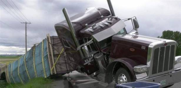 انقلاب شاحنة كبيرة تحمل 133 مليون نحلة....  فيديو 