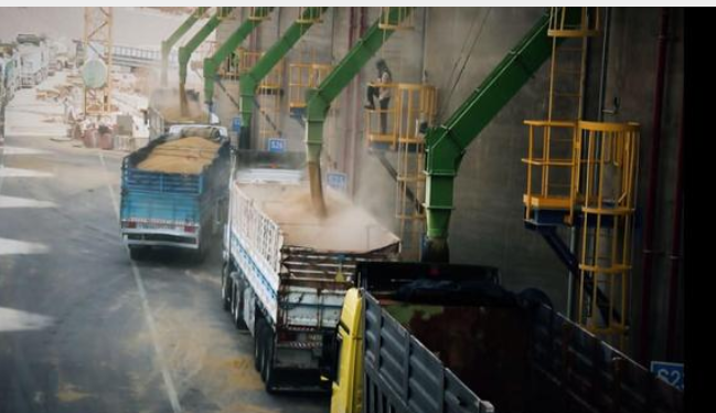 الشمالي: مخزون الأردن من القمح يكفي لحوالي 14 شهرا